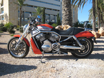Harley Davidson Street Rod posing in front of Grand Hotel Ibiza